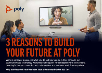 Poly Diversity Flyer