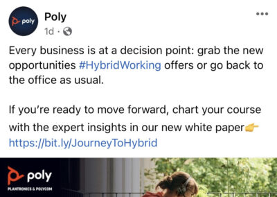 Poly Social Media Post 3